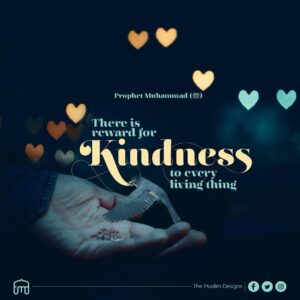 WhatsApp Image 2025-03-03 at 22.23.43