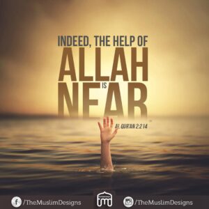 WhatsApp Image 2025-03-03 at 22.23.50